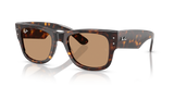 RAY-BAN : MEGA WAYFARER Summer Capsule | Havane Carré propionate pont haut Lunette Solaire RB 0840s 902/53 51
