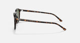 RAY-BAN : Léonard Carré Tortue polie en acétate G-15 Vert Rb2193 902/31 53