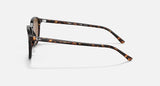 RAY-BAN : Léonard Carré Tortue polie en acétate polarisé marron Rb2193 902/57 53
