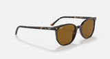 RAY-BAN : Elliot Carré Havane polie en acétate à lentilles brunes RB 2197 902/33