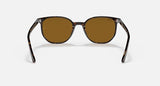 RAY-BAN : Elliot Carré Havane polie en acétate à lentilles brunes RB 2197 902/33