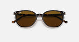 RAY-BAN : Elliot Carré Havane polie en acétate à lentilles brunes RB 2197 902/33