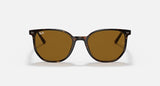 RAY-BAN : Elliot Carré Havane polie en acétate à lentilles brunes RB 2197 902/33
