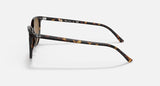 RAY-BAN : Elliot Carré Havane polie en acétate à lentilles brunes RB 2197 902/33