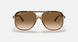RAY-BAN : BILL Carré Havana poli en acétate, lentilles dégradé brune clair | RB 2198 1292/51