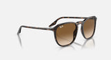 RAY-BAN : RB 2203 — Lunettes en acétate Havane polie carrée, lentilles brune clair | Rb2203 902/51
