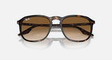 RAY-BAN : RB 2203 — Lunettes en acétate Havane polie carrée, lentilles brune clair | Rb2203 902/51