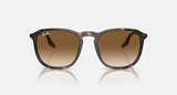 RAY-BAN : RB 2203 — Lunettes en acétate Havane polie carrée, lentilles brune clair | Rb2203 902/51