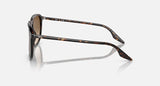 RAY-BAN : RB 2203 — Lunettes en acétate Havane polie carrée, lentilles brune clair | Rb2203 902/51