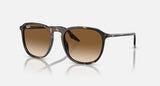 RAY-BAN : RB 2203 — Lunettes en acétate Havane polie carrée, lentilles brune clair | Rb2203 902/51