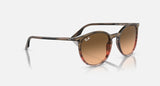 RAY-BAN : RB 2204 — Lunettes Phantos en acétate Rayé marron rouge poli avec lentilles rose/noir | Rb2204 1395/3b