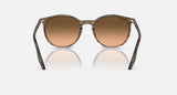 RAY-BAN : RB 2204 — Lunettes Phantos en acétate Rayé marron rouge poli avec lentilles rose/noir | Rb2204 1395/3b