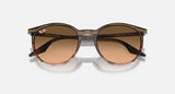 RAY-BAN : RB 2204 — Lunettes Phantos en acétate Rayé marron rouge poli avec lentilles rose/noir | Rb2204 1395/3b