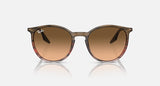 RAY-BAN : RB 2204 — Lunettes Phantos en acétate Rayé marron rouge poli avec lentilles rose/noir | Rb2204 1395/3b