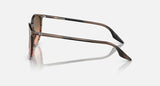 RAY-BAN : RB 2204 — Lunettes Phantos en acétate Rayé marron rouge poli avec lentilles rose/noir | Rb2204 1395/3b