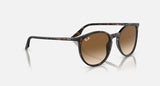 RAY-BAN : RB 2204 — Lunettes Phantos en acétate Havane polie avec lentilles brune clair | RB2204 902/51 51