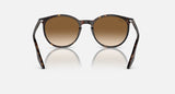 RAY-BAN : RB 2204 — Lunettes Phantos en acétate Havane polie avec lentilles brune clair | RB2204 902/51 51