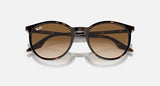 RAY-BAN : RB 2204 — Lunettes Phantos en acétate Havane polie avec lentilles brune clair | RB2204 902/51 51