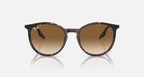 RAY-BAN : RB 2204 — Lunettes Phantos en acétate Havane polie avec lentilles brune clair | RB2204 902/51 51