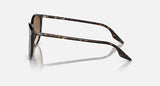 RAY-BAN : RB 2204 — Lunettes Phantos en acétate Havane polie avec lentilles brune clair | RB2204 902/51 51