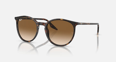 RAY-BAN : RB 2204 — Lunettes Phantos en acétate Rayé marron rouge poli avec lentilles rose/noir | Rb2204 1395/3b