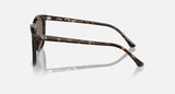 RAY-BAN : RB 2210 — Lunettes en propionate havane polie carré avec lentilles marron polarisé | Rb2210 902/57 53