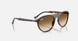 RAY-BAN : RB 2215 — Lunettes en acétate havane polie carré avec lentilles marron clair dégradé | RB2215 902/51 56-20