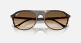 RAY-BAN : RB 2215 — Lunettes en acétate havane polie carré avec lentilles marron clair dégradé | RB2215 902/51 56-20