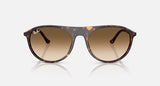 RAY-BAN : RB 2215 — Lunettes en acétate havane polie carré avec lentilles marron clair dégradé | RB2215 902/51 56-20