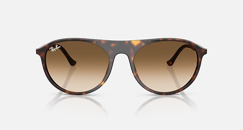 RAY-BAN : RB 2215 — Lunettes en acétate havane polie carré avec lentilles marron clair dégradé | RB2215 902/51 56-20