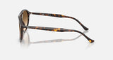 RAY-BAN : RB 2215 — Lunettes en acétate havane polie carré avec lentilles marron clair dégradé | RB2215 902/51 56-20