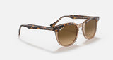 RAY-BAN : HAWKEYE — Lunettes en acétate Havana poli sur fond brun transparent carré avec lentilles marron polarisé | Rb2298 1292/m2 52