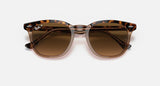 RAY-BAN : HAWKEYE — Lunettes en acétate Havana poli sur fond brun transparent carré avec lentilles marron polarisé | Rb2298 1292/m2 52
