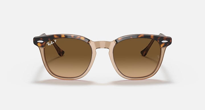 RAY-BAN : HAWKEYE — Lunettes en acétate Havana poli sur fond brun transparent carré avec lentilles marron polarisé | Rb2298 1292/m2 52