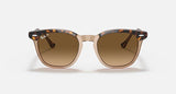 RAY-BAN : HAWKEYE — Lunettes en acétate Havana poli sur fond brun transparent carré avec lentilles marron polarisé | Rb2298 1292/m2 52