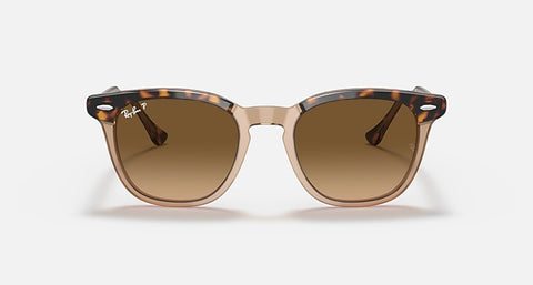 RAY-BAN : HAWKEYE — Lunettes en acétate Havana poli sur fond brun transparent carré avec lentilles marron polarisé | Rb2298 1292/m2 52