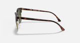 RAY-BAN : Clubmaster Classic | RB3016 W0366