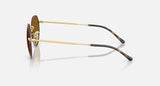 RAY-BAN : JACK en Havana matte sur or arista et lentilles brunes | RB3565 9275/33