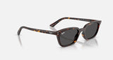 Ray-Ban Zaya Bio-Based Havane Polie Gris foncé Lunette Solaire RB 4456f 1359/87 52