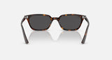 Ray-Ban Zaya Bio-Based Havane Polie Gris foncé Lunette Solaire RB 4456f 1359/87 52