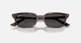 Ray-Ban Zaya Bio-Based Havane Polie Gris foncé Lunette Solaire RB 4456f 1359/87 52