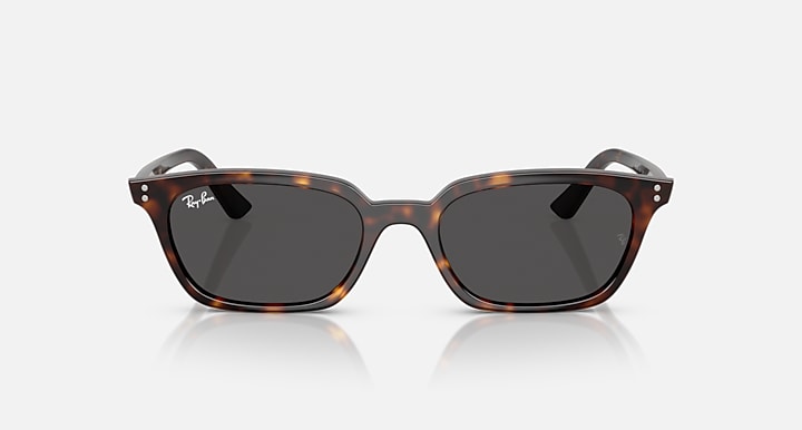 Ray-Ban Zaya Bio-Based Havane Polie Gris foncé Lunette Solaire RB 4456f 1359/87 52