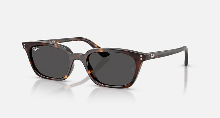 Ray-Ban Zaya Bio-Based Havane Polie Gris foncé Lunette Solaire RB 4456f 1359/87 52