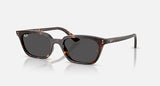 Ray-Ban Zaya Bio-Based Havane Polie Gris foncé Lunette Solaire RB 4456f 1359/87 52