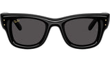 RAY-BAN : Ray-Ban | A$AP ROCKY Wayfarer Puffer