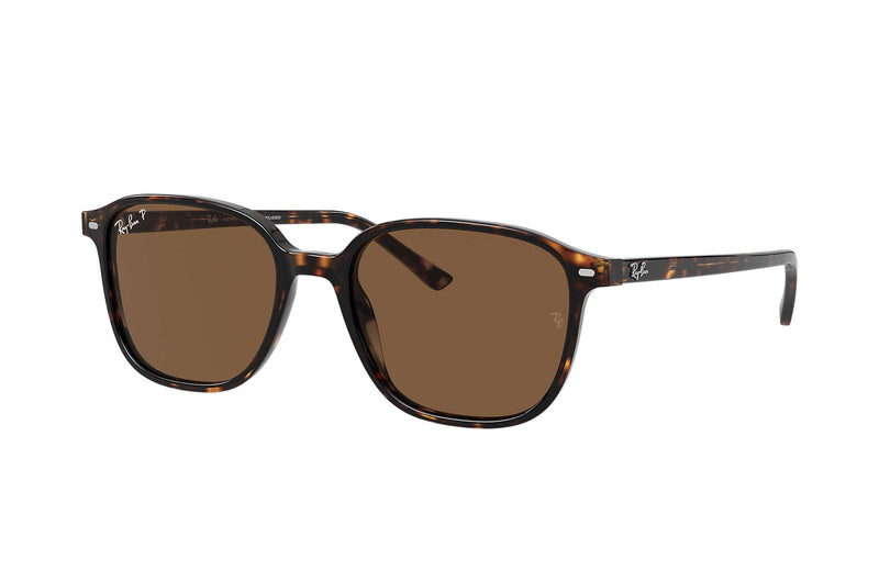 RAY-BAN : Leonard, RB2193 902/57