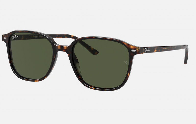RAY-BAN : LEONARD, RB2193 902/31 51-22