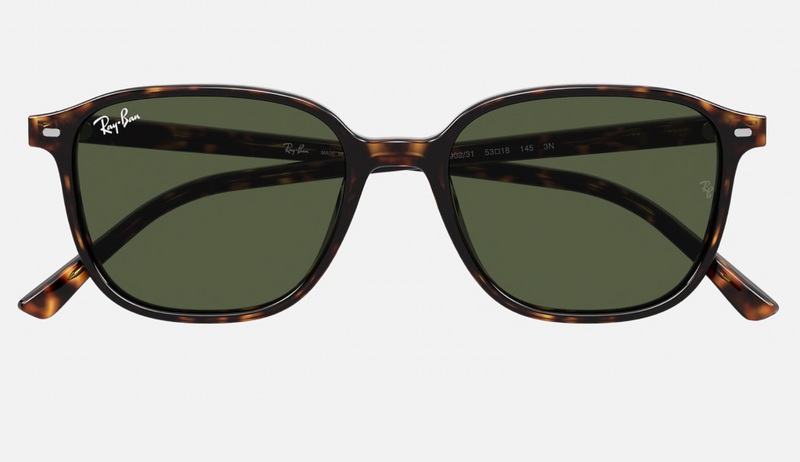 RAY-BAN : LEONARD, RB2193 902/31 51-22
